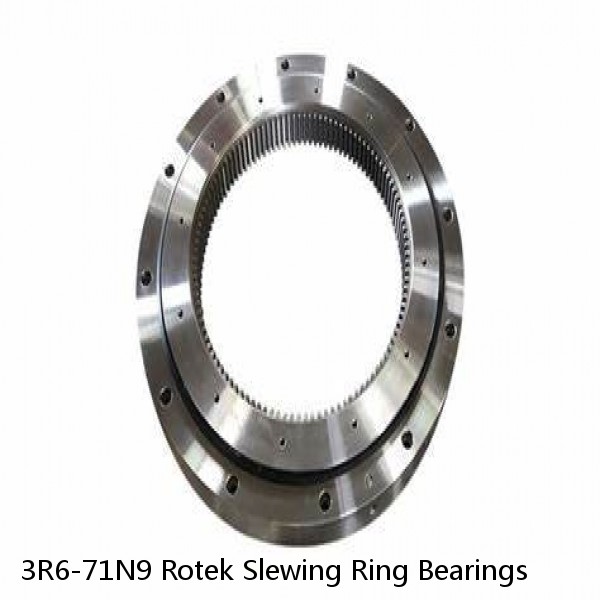 3R6-71N9 Rotek Slewing Ring Bearings