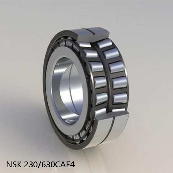 230/630CAE4 NSK Spherical Roller Bearing #1 small image