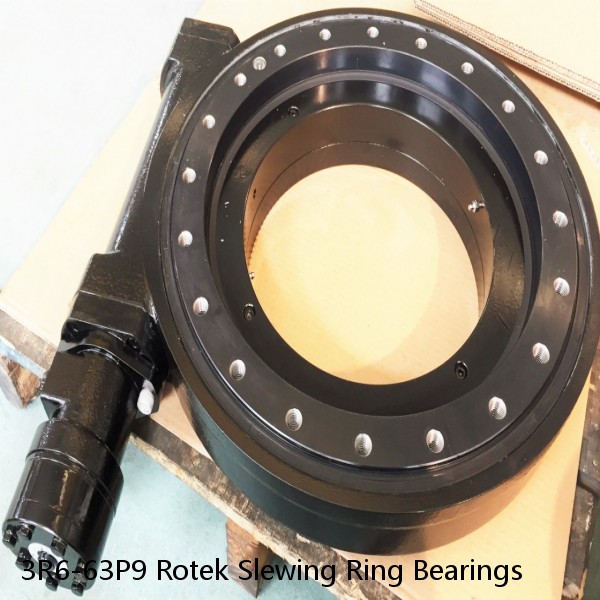 3R6-63P9 Rotek Slewing Ring Bearings #1 small image
