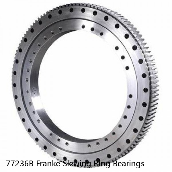 77236B Franke Slewing Ring Bearings #1 small image