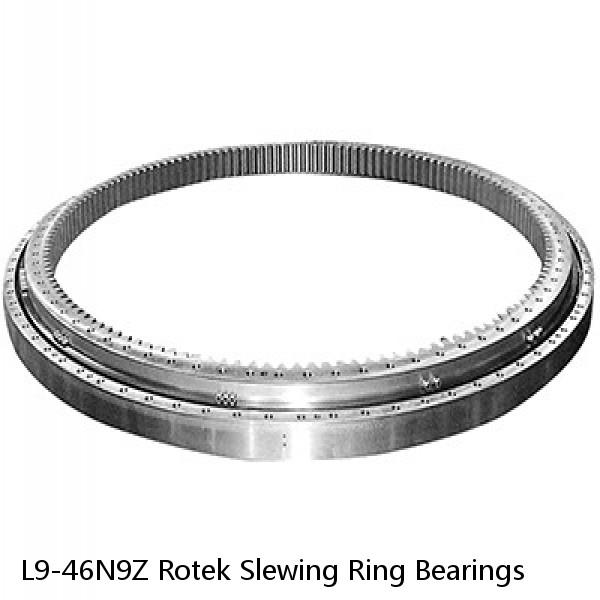 L9-46N9Z Rotek Slewing Ring Bearings #1 small image
