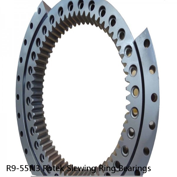 R9-55N3 Rotek Slewing Ring Bearings #1 small image