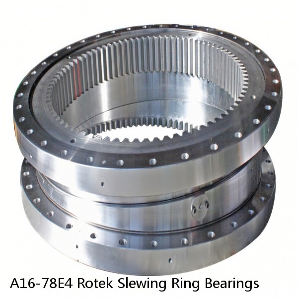 A16-78E4 Rotek Slewing Ring Bearings #1 small image