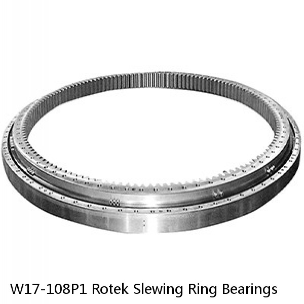 W17-108P1 Rotek Slewing Ring Bearings #1 small image