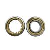 30 mm x 55 mm x 13 mm  NACHI NUP 1006 cylindrical roller bearings