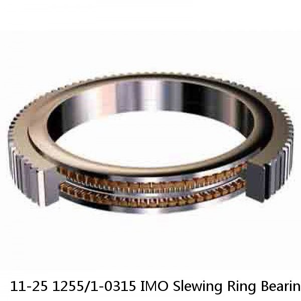 11-25 1255/1-0315 IMO Slewing Ring Bearings #1 image