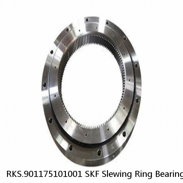 RKS.901175101001 SKF Slewing Ring Bearings #1 image