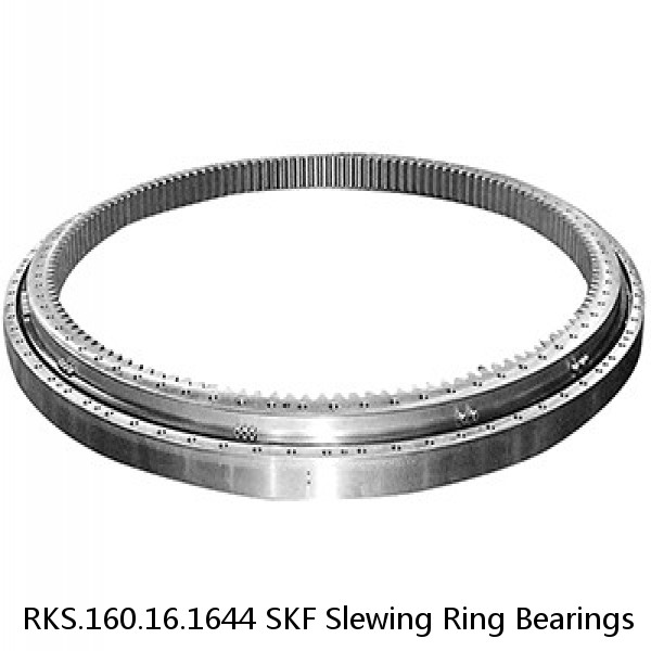 RKS.160.16.1644 SKF Slewing Ring Bearings #1 image