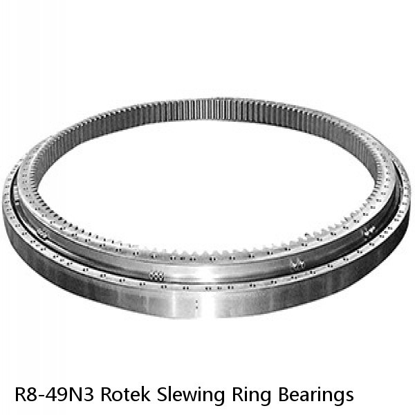 R8-49N3 Rotek Slewing Ring Bearings #1 image